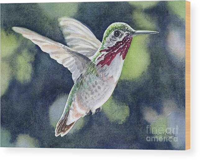 Watercolor Wood Print featuring the painting Dancing Calliope by Lorraine Watry