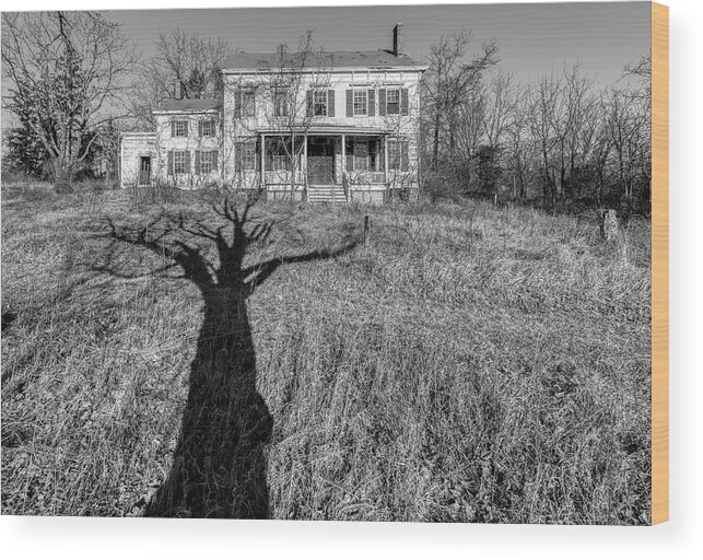 Voorhees Farm Wood Print featuring the photograph Death Tree by David Letts