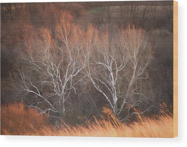Abstract Wood Print featuring the photograph December Light by Jason Fink