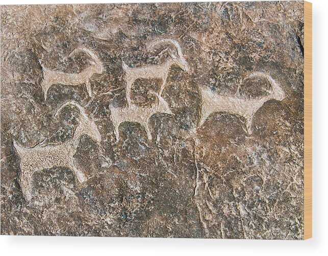 Petroglyph Wood Print featuring the photograph Desert Petroglyphs by Anthony Sacco