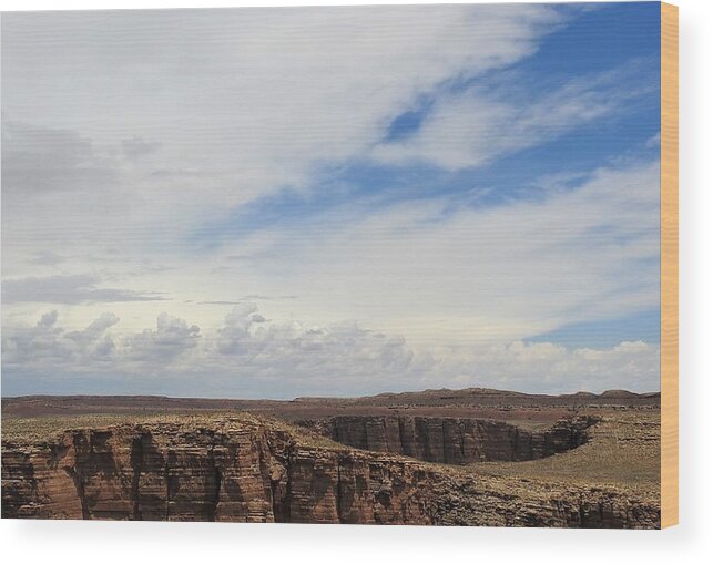 Arizona Wood Print featuring the photograph Desolate by Sandra Peery