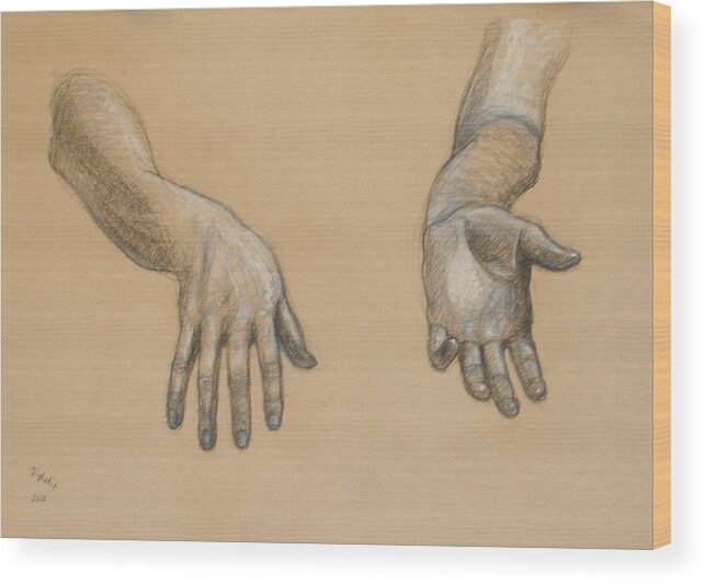 Realism Wood Print featuring the drawing Diane's Hands by Donelli DiMaria