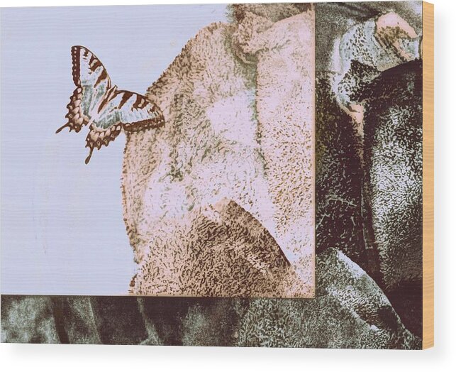 Butterfly Wood Print featuring the photograph Discovery by Andy Rhodes