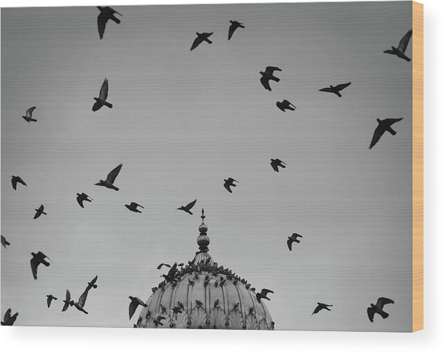 Minimalism Wood Print featuring the photograph Dome versus Flying Birds by Prakash Ghai