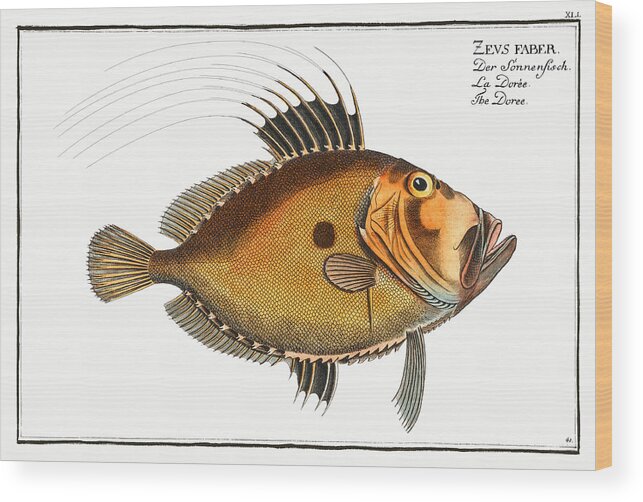 Dory Wood Print featuring the mixed media Dory Fish by World Art Collective
