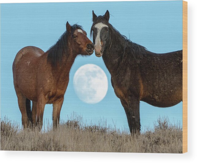 Horses Wood Print featuring the photograph Dsc06591 by John T Humphrey