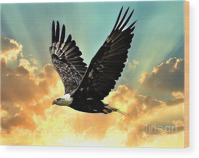 Bald Eagle Wood Print featuring the photograph Eagle in the Clouds. by Charlene Adler