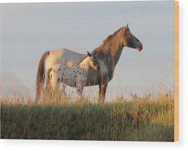 Horse Wood Print featuring the photograph Early Morning Light by Katie Keenan