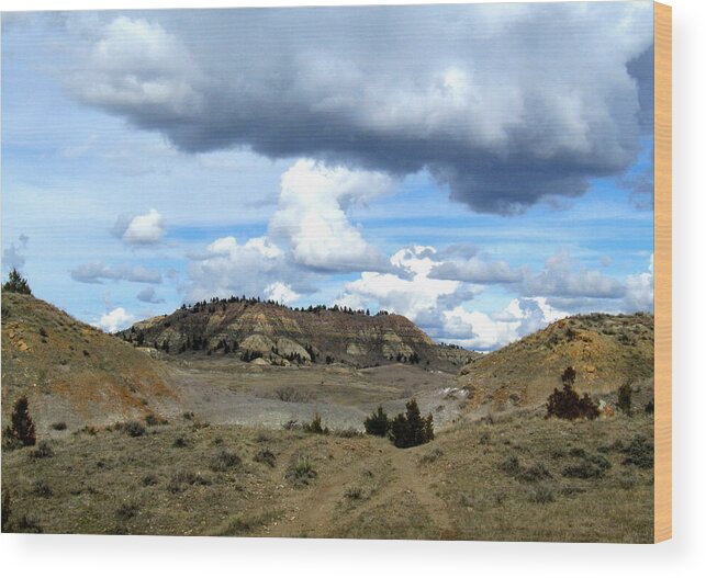 Badlands Wood Print featuring the photograph Eastern Montana Badlands by Katie Keenan