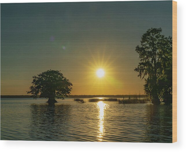 Blue Cypress Lake Wood Print featuring the photograph Evening Sunburst by Todd Tucker