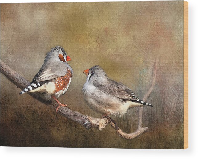 Finch Wood Print featuring the photograph Exotic Zebra Finch by Theresa Tahara