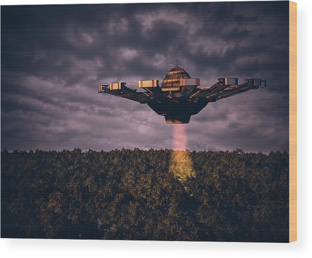 Spaceship Wood Print featuring the photograph Exploring Maine Wilderness by Bob Orsillo