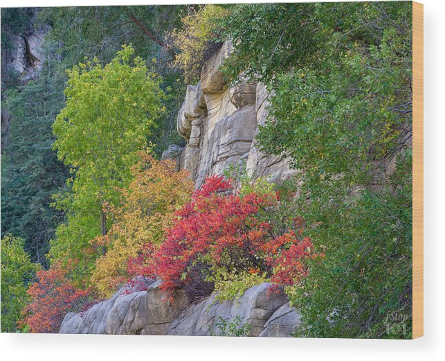 Fall Colors Fstop101 Oak Creek Canyon Sedona Arizona Landscape Wood Print featuring the photograph Fall Colors in Sedona's Oak Creek Canyon by Geno Lee