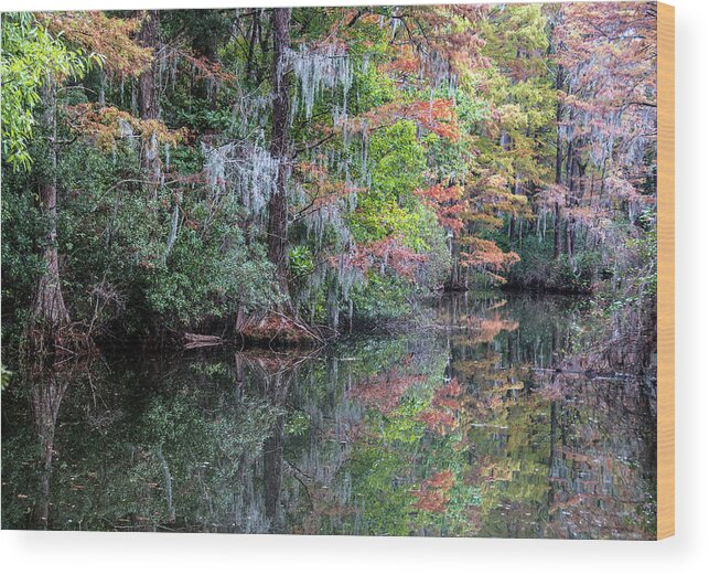 Fall Wood Print featuring the photograph Fall Colors in the Swamp by WAZgriffin Digital