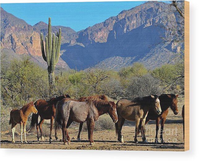Salt River Wild Horse Wood Print featuring the digital art Family by Tammy Keyes