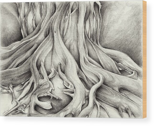 Tree Wood Print featuring the drawing Ficus Macrophylla I by Adriana Mueller