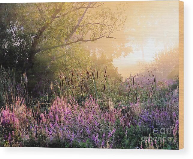 Fog Wood Print featuring the photograph Foggy August in the marshes by Janice Drew