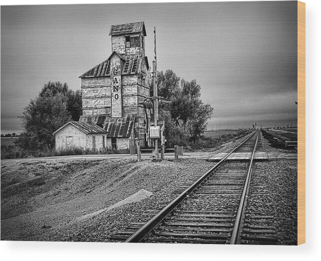 Train Wood Print featuring the photograph Gano Elevator by Ron Weathers