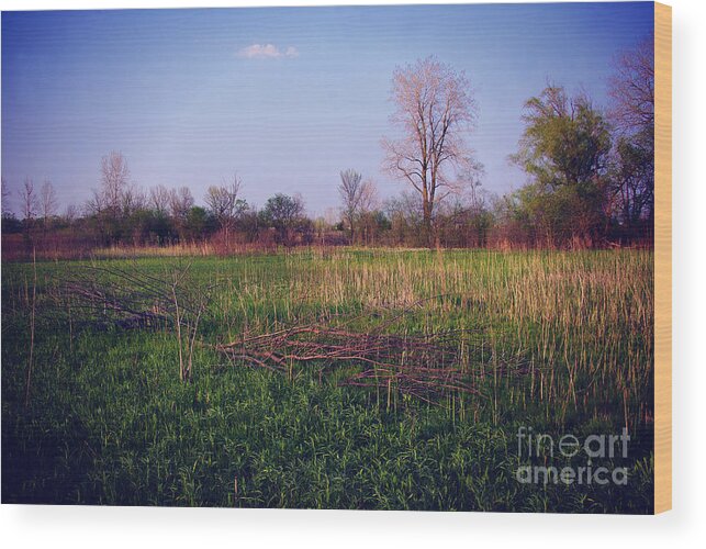 Nature Wood Print featuring the photograph Golden Hour Sunset on the Prairie - Heat by Frank J Casella