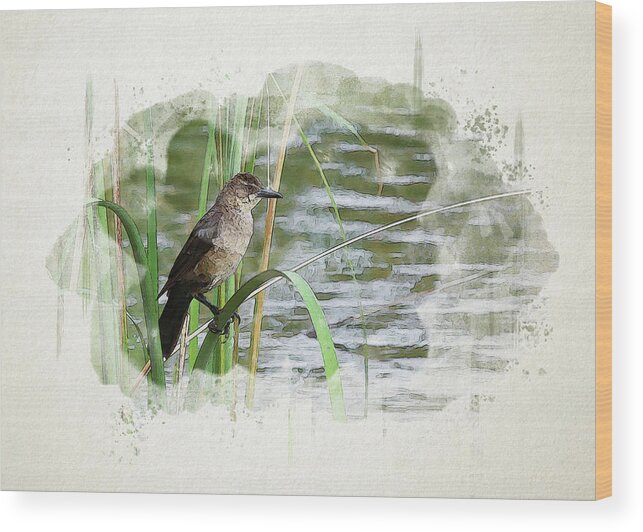 Grackle Wood Print featuring the digital art Grackle by the Lake by Alison Frank