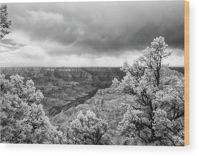 Grand Canyon National Park Wood Print featuring the photograph Grand Canyon, North Rim by Eugene Nikiforov