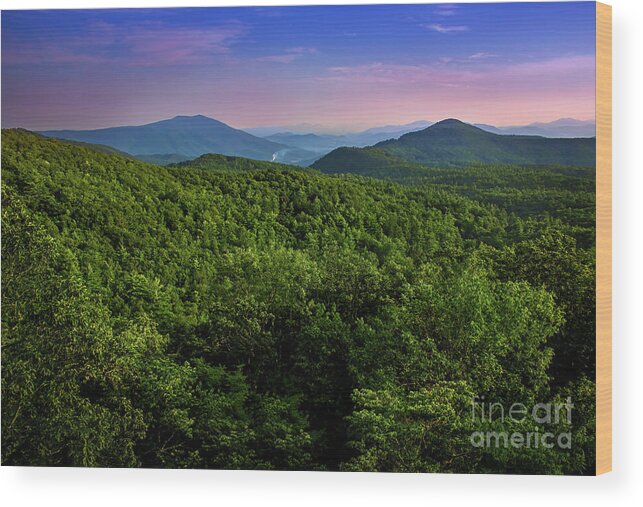Grayson Highlands Wood Print featuring the photograph Grayson Highlands at Sunset by Shelia Hunt