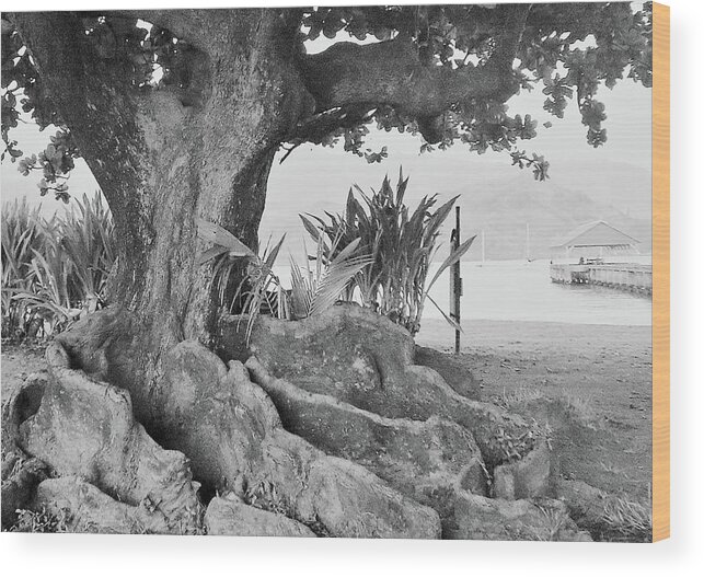 Kauai Wood Print featuring the photograph Hanalei Tree by Tony Spencer