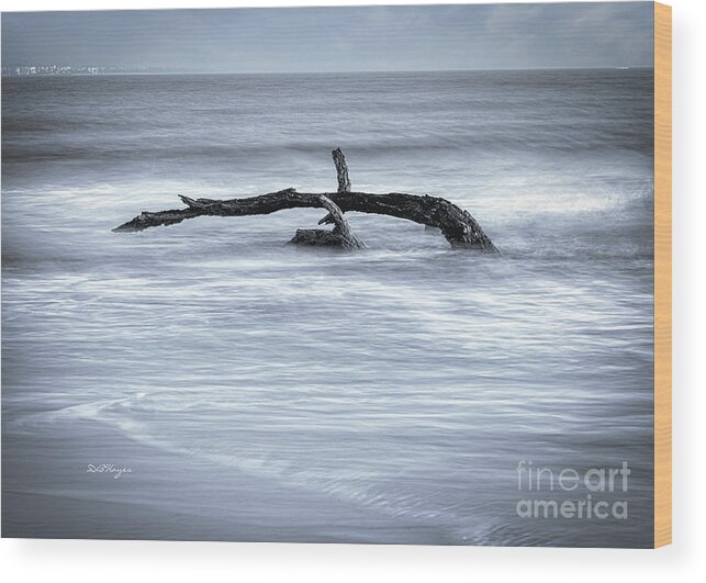 Nature Wood Print featuring the photograph Harmonious Driftwood II by DB Hayes