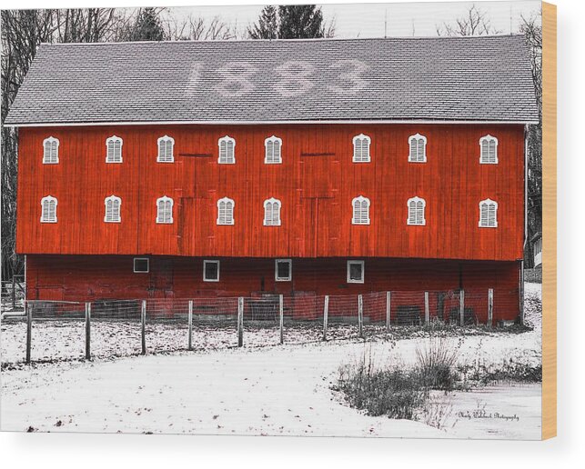 Ohio Wood Print featuring the photograph Hartong Barn by Mary Walchuck