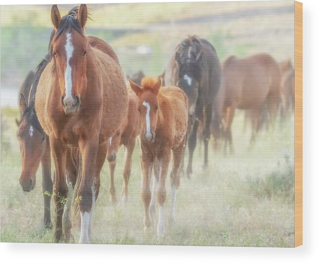 Nevada Wood Print featuring the photograph Herd Close Up by Marc Crumpler