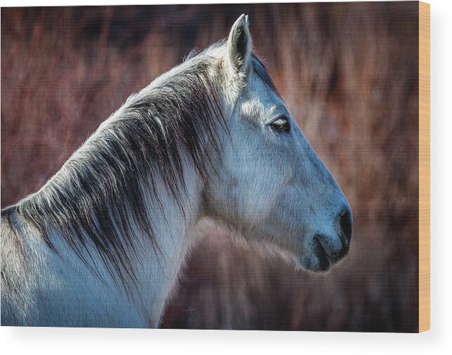 Horse Wood Print featuring the photograph Horse No. 4 by Craig J Satterlee