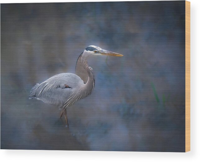 Great Blue Heron Wood Print featuring the photograph Hunter by Fraida Gutovich