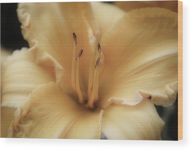 Close-up Wood Print featuring the photograph I Am Beautiful by Scott Burd