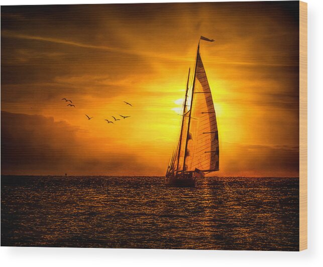 Sunset Wood Print featuring the photograph Into the Mystic by Jack Wilson