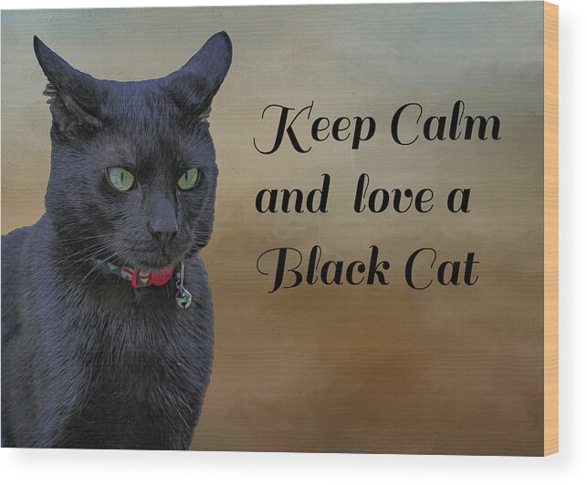 Cat Wood Print featuring the photograph Keep Calm by Cathy Kovarik