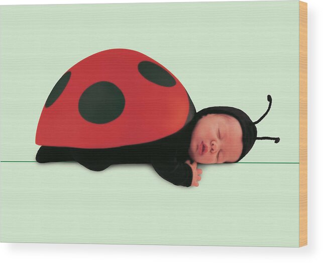 Ladybug Wood Print featuring the photograph Ladybug #2 by Anne Geddes