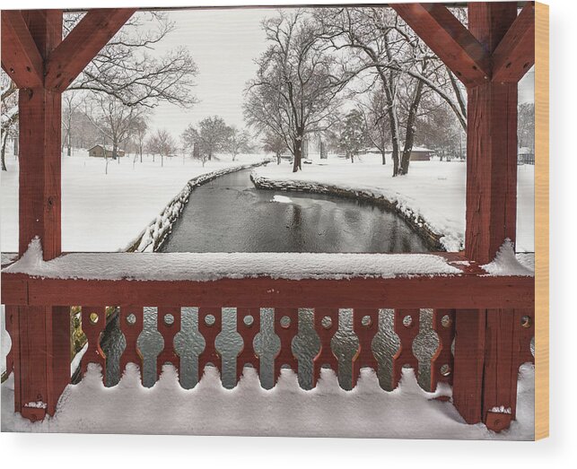 Wi Wood Print featuring the photograph Lake Leota Park Winterscape series - View from the bridge - Evansville WI by Peter Herman