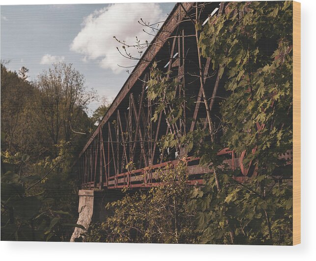 Landscapes Wood Print featuring the photograph Landscape Photography - Rail Road Bridge 2 by Amelia Pearn