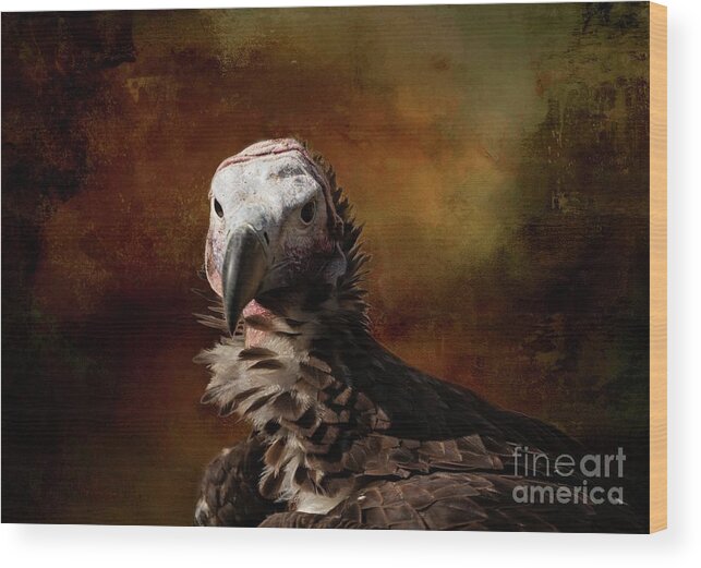 Lappet-faced Vulture Wood Print featuring the photograph Lappet-Faced Vulture-2 by Eva Lechner