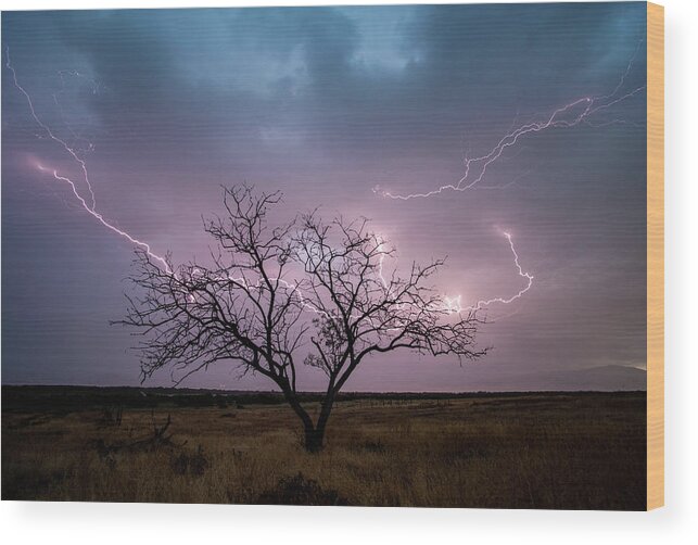 Storm Wood Print featuring the photograph Lightning Tree by Wesley Aston