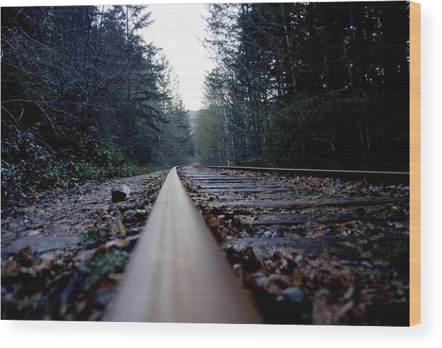 Curve Wood Print featuring the photograph Low Angle View of Rustic Railtracks Passing Through Forest by Silentfoto