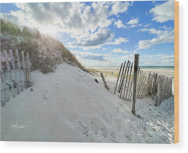 Mayflower Beach Walk Wood Print featuring the photograph Mayflower Beach Walk by Michelle Constantine