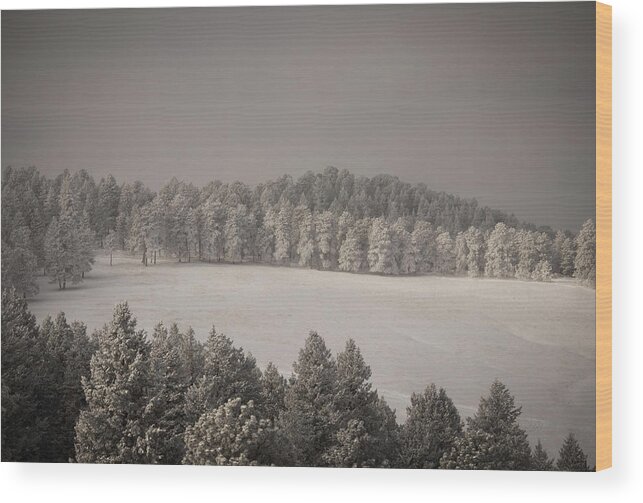 Snow Wood Print featuring the photograph Mountain Meadow in Winter by Kevin Schwalbe