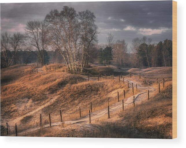 Sand Dunes Wood Print featuring the photograph Meandering by Nate Brack