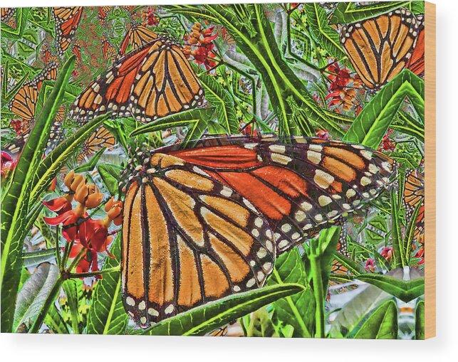 Monarch Butterfly Wood Print featuring the photograph Monarch Kaleidoscope by HH Photography of Florida