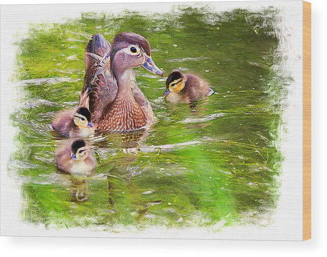 Ducks Wood Print featuring the mixed media Mother duck by Tatiana Travelways