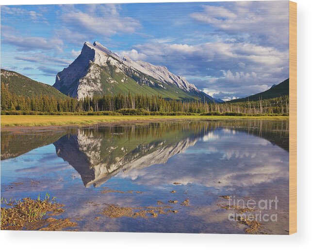 Mount Rundle Wood Print featuring the photograph Mount Rundle reflected in Vermillion Lakes, Canadian Rockies by Neale And Judith Clark