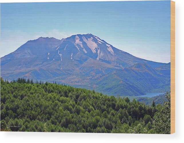 Snow Capped Peaks Wood Print featuring the photograph Mount St. Helens and Castle Lake in August by Connie Fox