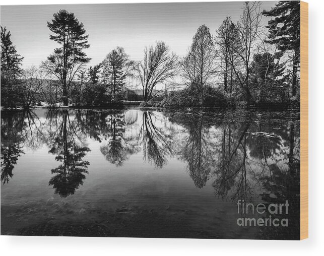 Lake Wood Print featuring the photograph Mystery Lake by Shelia Hunt
