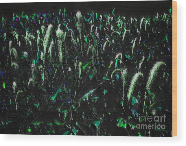 Abstract Wood Print featuring the photograph Night Vision by Rachel Hannah
